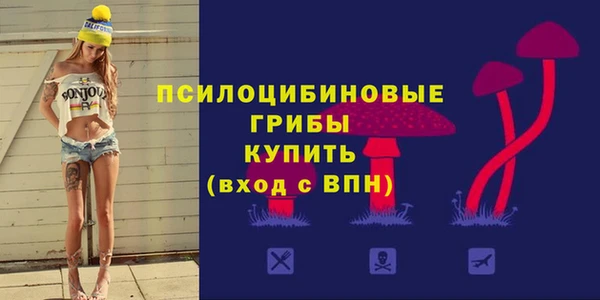 герыч Снежинск