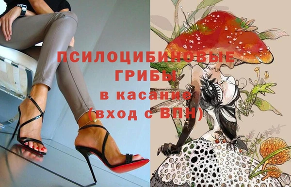 меф Снежногорск