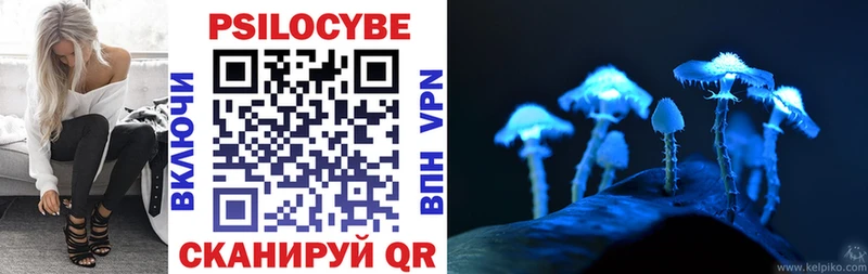 Галлюциногенные грибы прущие грибы  где найти   Судак 